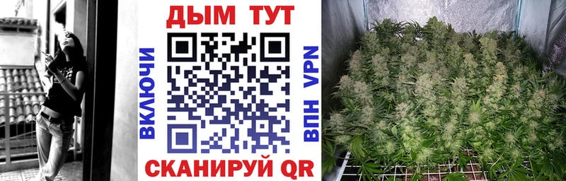 Купить наркотик Ельня Галлюциногенные грибы  Мефедрон  Марихуана  А ПВП 