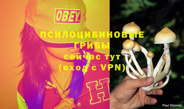 COCAINE Армянск