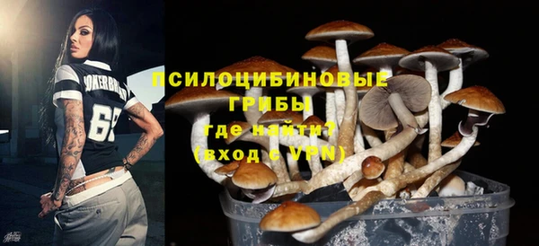 ALPHA PVP Аркадак