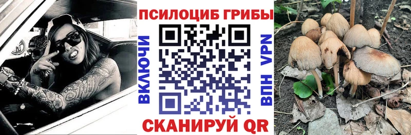 Галлюциногенные грибы Magic Shrooms Ельня